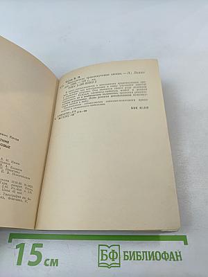 Многолетние пряновкусовые овощи