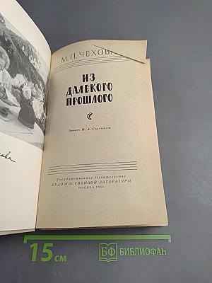 Из далекого прошлого