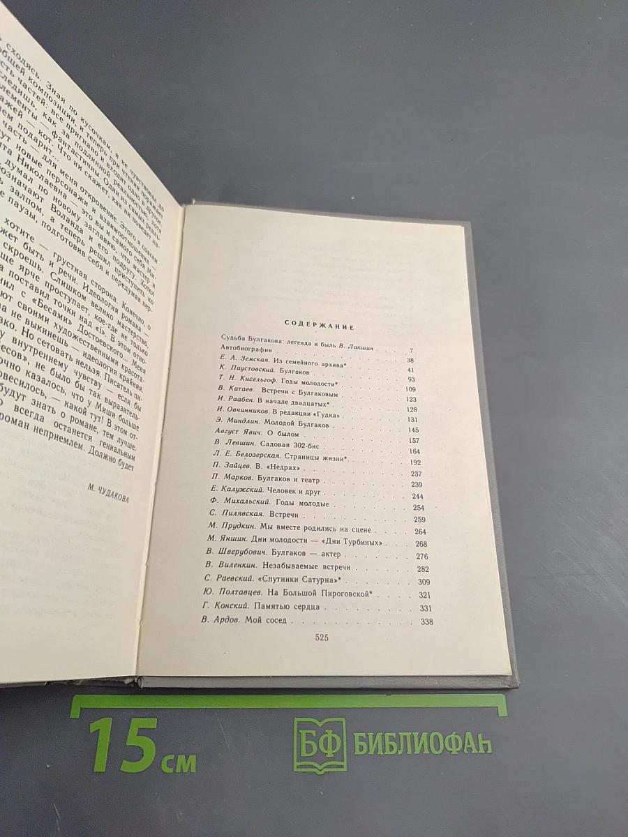 Воспоминания о Михаиле Булгакове