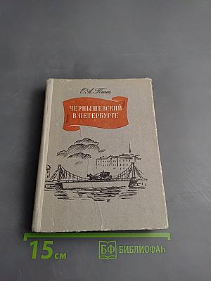 Чернышевский в Петербурге