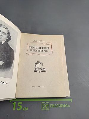 Чернышевский в Петербурге