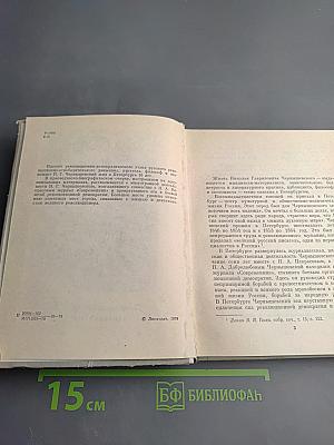 Чернышевский в Петербурге