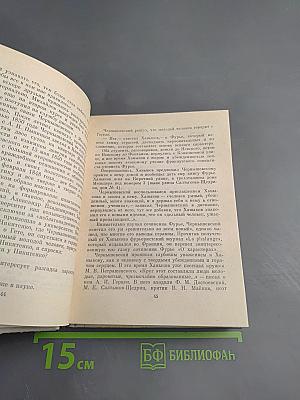 Чернышевский в Петербурге