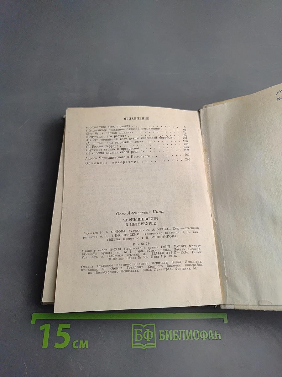 Чернышевский в Петербурге