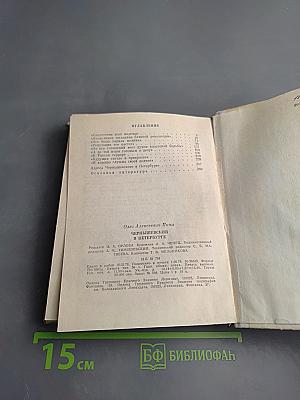 Чернышевский в Петербурге