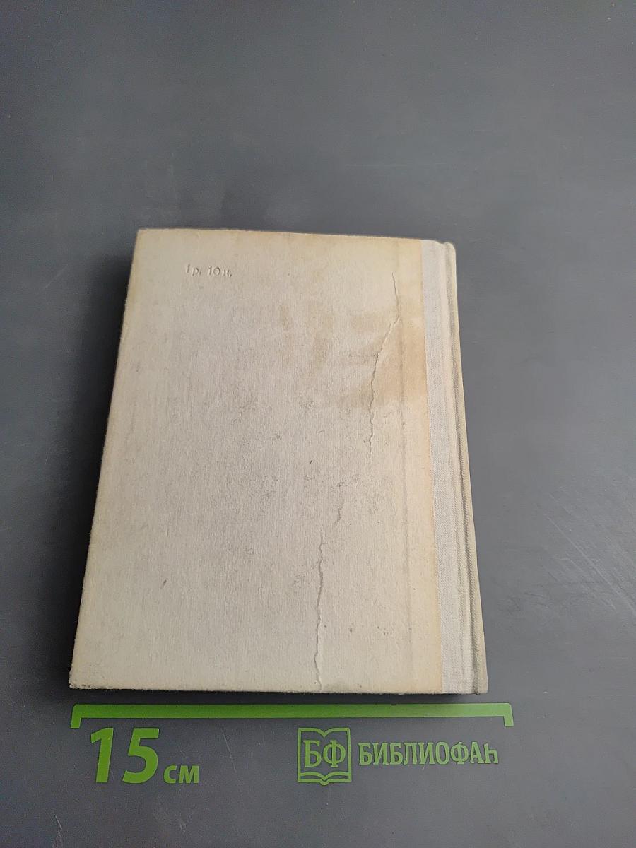 Чернышевский в Петербурге