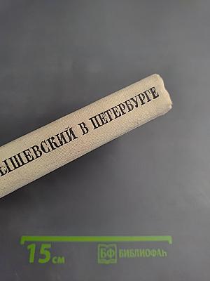 Чернышевский в Петербурге