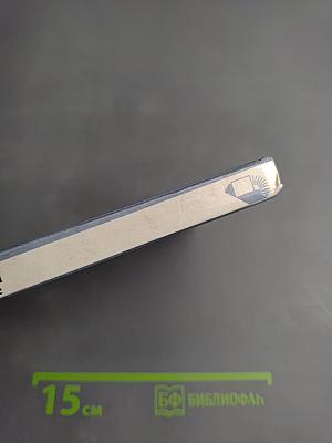 Лев ТОЛСТОЙ в Петербурге