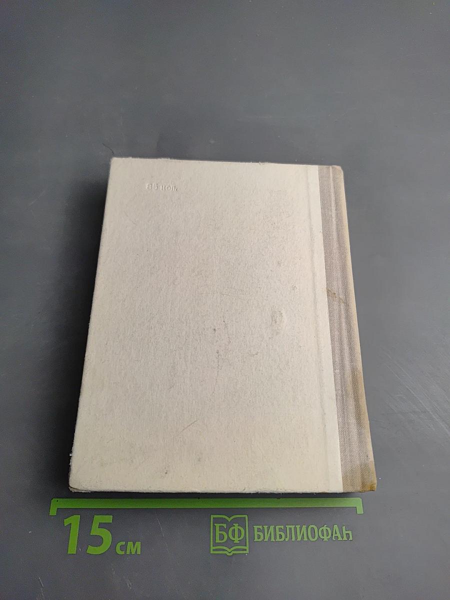 Саша Чекалин