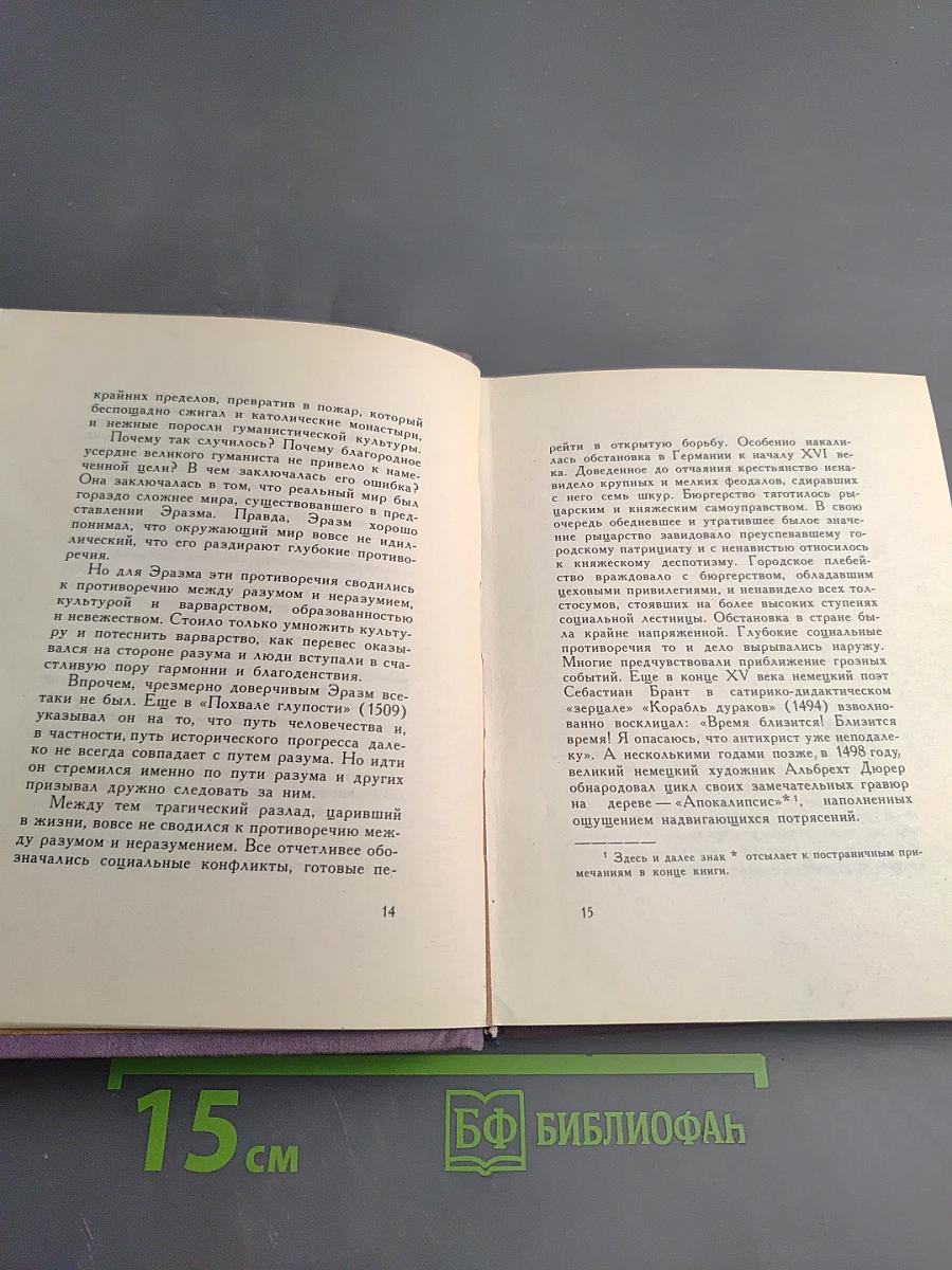 Триумф и трагедия Эразма Роттердамского