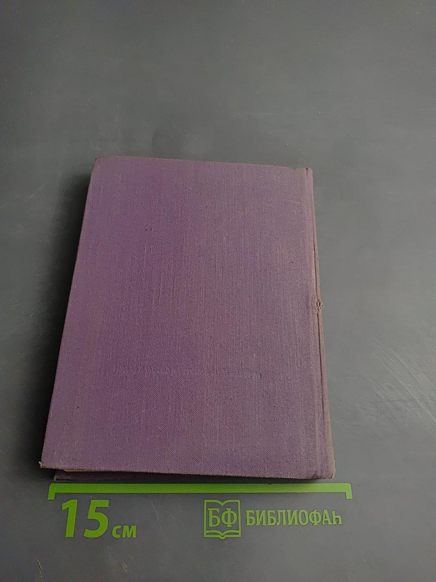 Триумф и трагедия Эразма Роттердамского