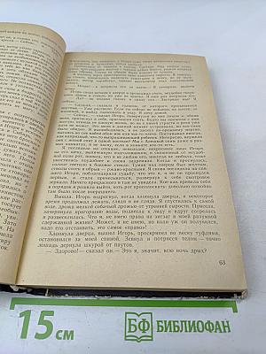 Созвездие Близнецов