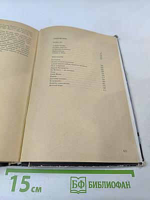 Созвездие Близнецов