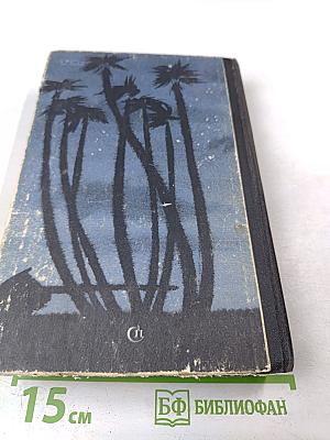 Созвездие Близнецов