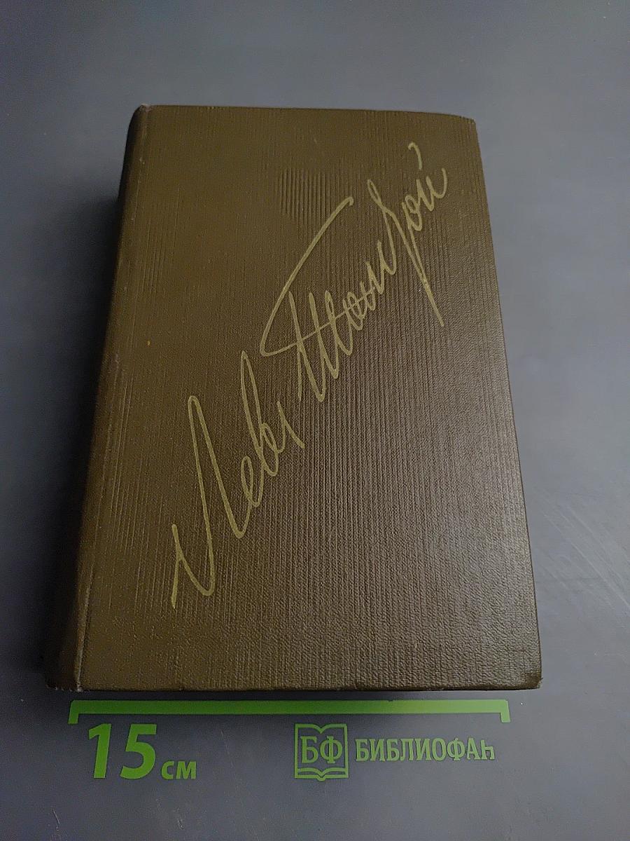 Публицистические произведения 1886-1908. Том семнадцатый
