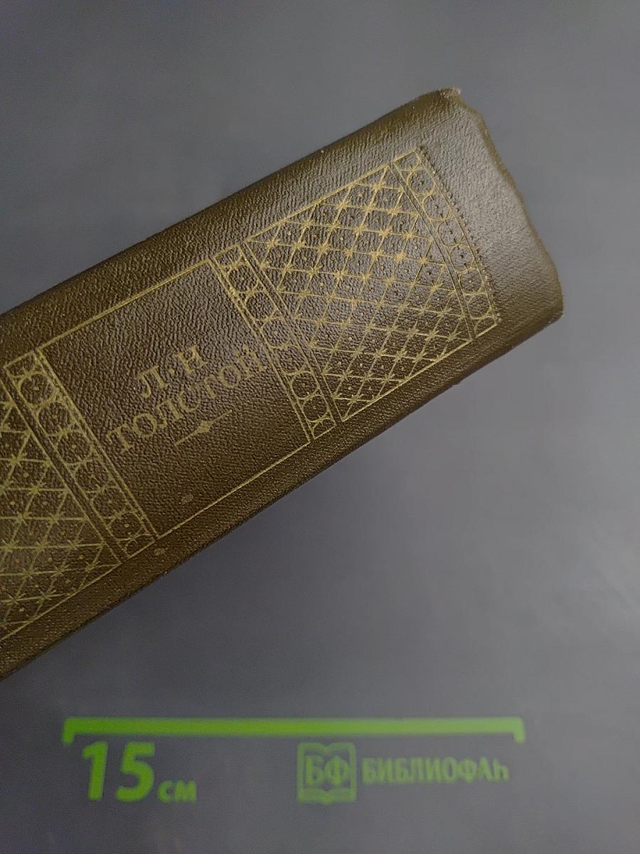 Публицистические произведения 1886-1908. Том семнадцатый