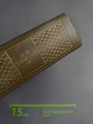 Публицистические произведения 1886-1908. Том семнадцатый