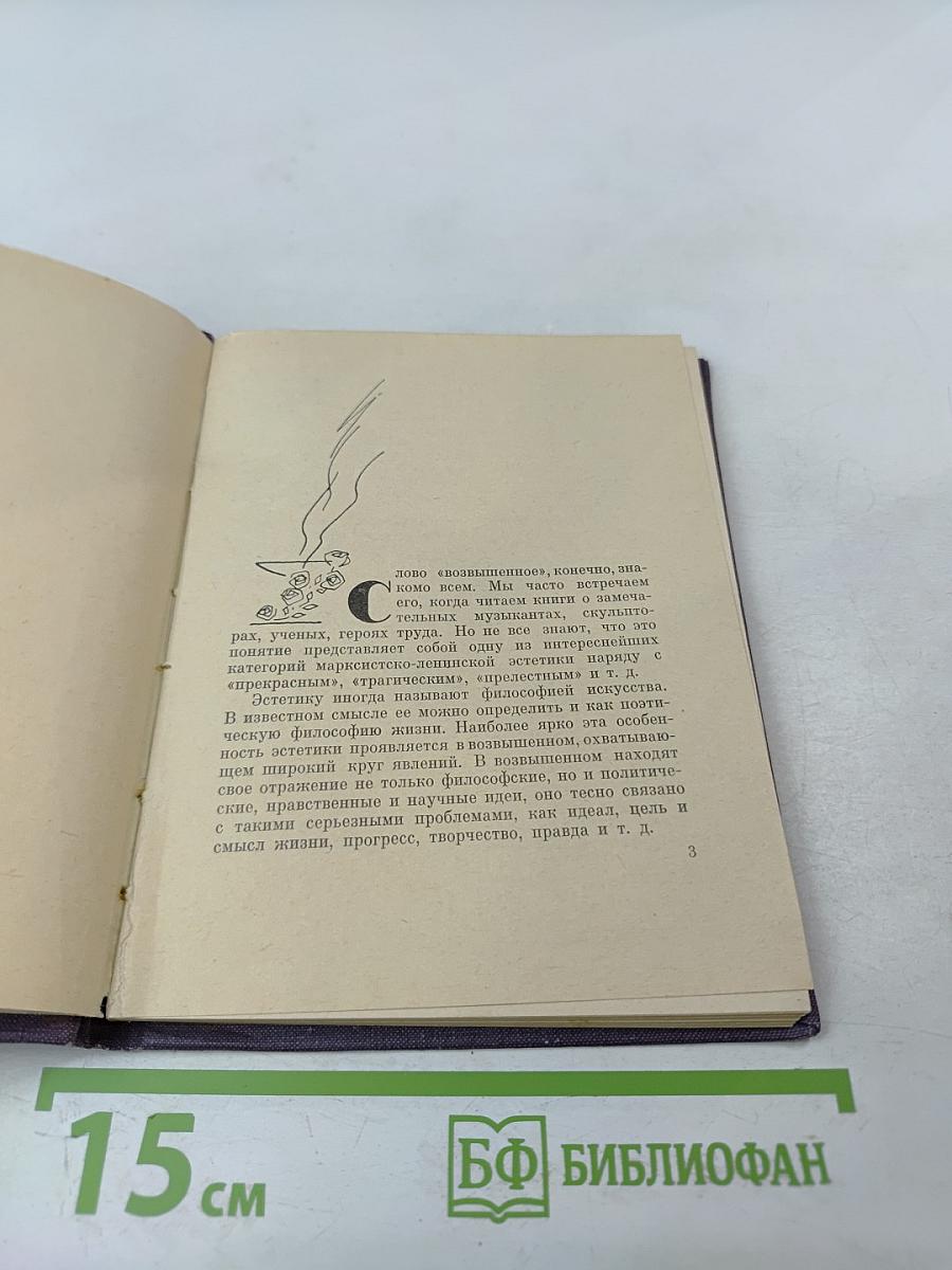 О Возвышенном в мире эстетики