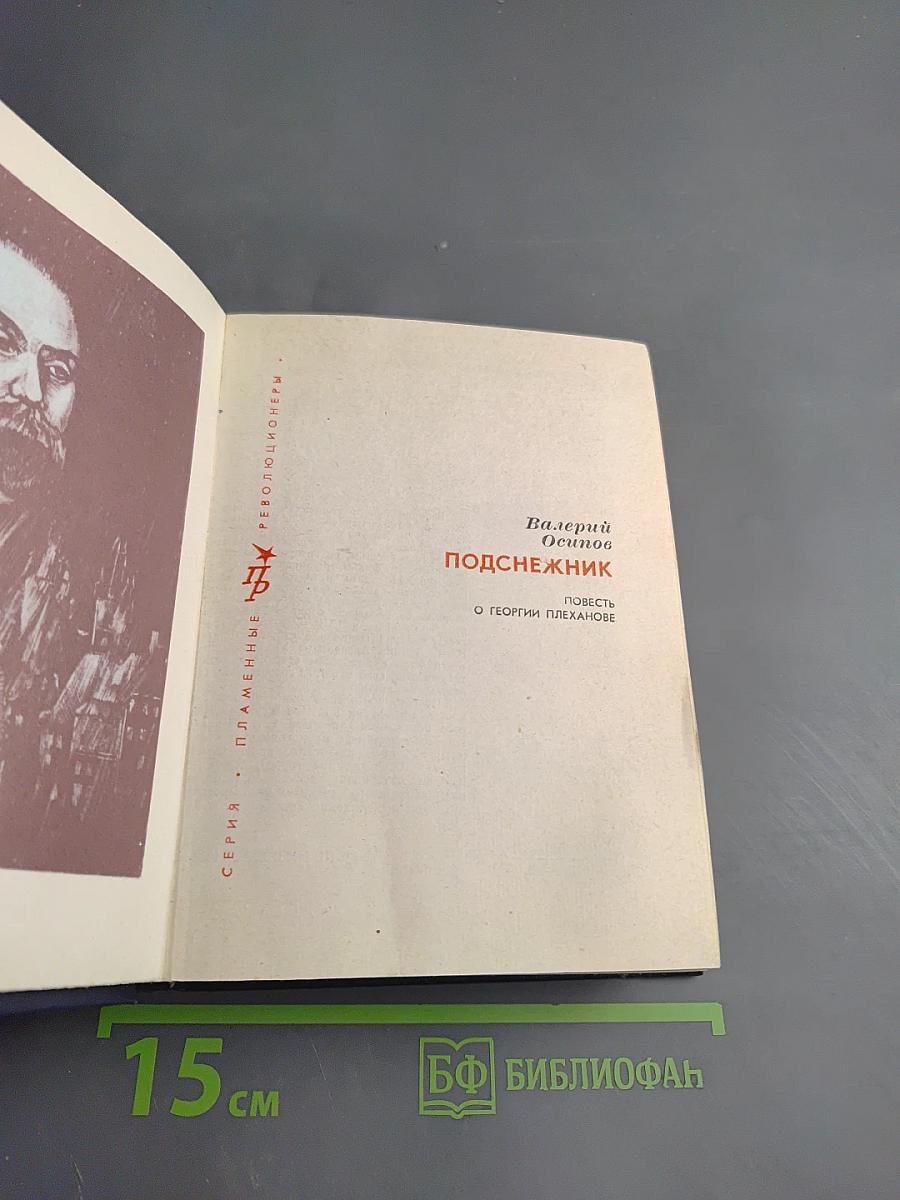 Подснежник