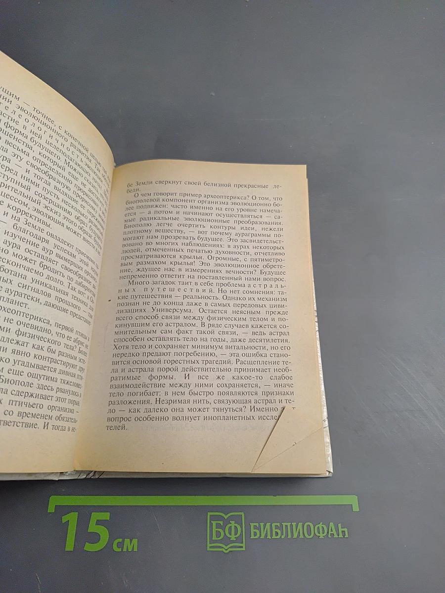 Крита-Йога Всеединство