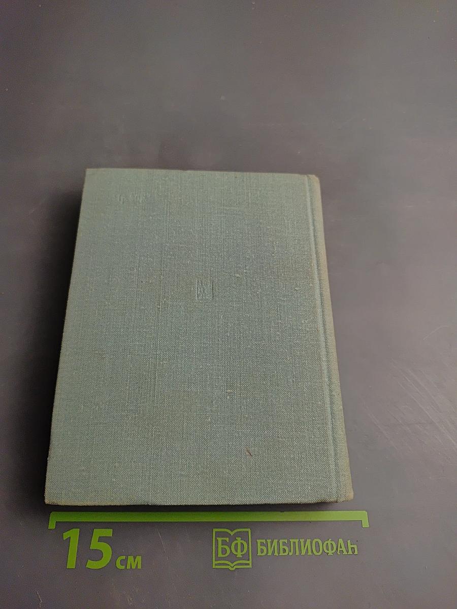 Чужая боль. Повесть о Вере Засулич