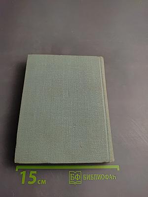 Чужая боль. Повесть о Вере Засулич