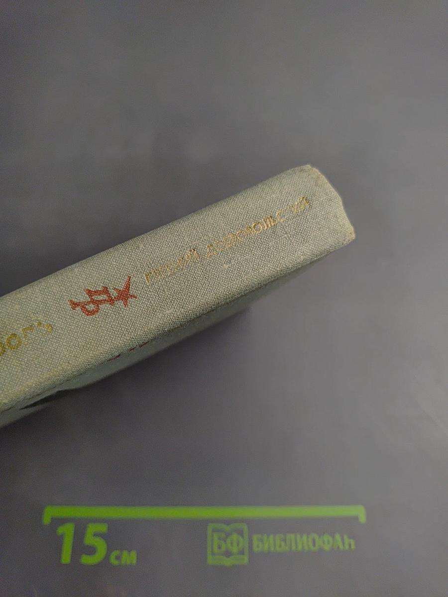 Чужая боль. Повесть о Вере Засулич