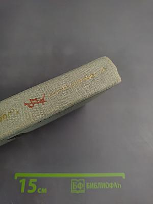 Чужая боль. Повесть о Вере Засулич