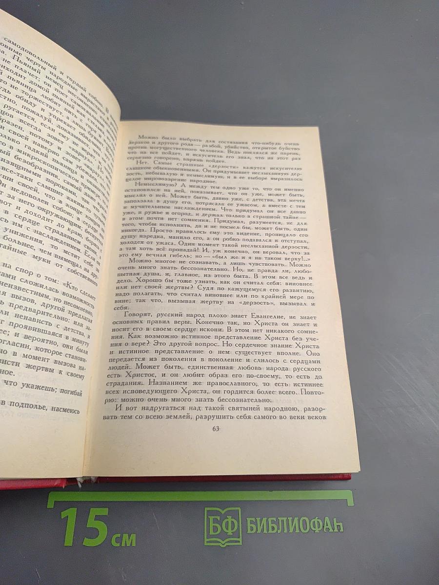 Дневник писателя. Избранные страницы