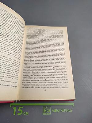 Дневник писателя. Избранные страницы