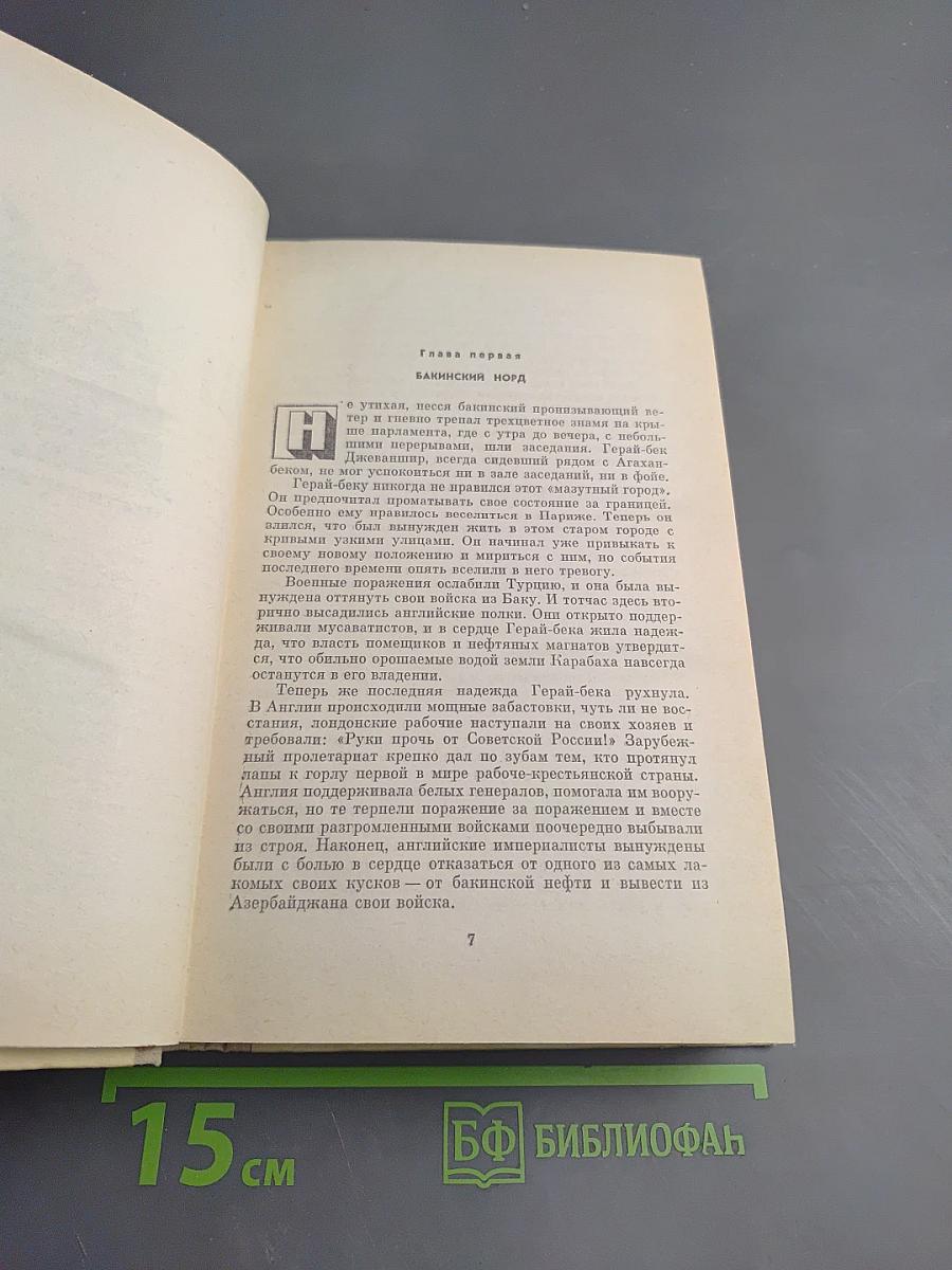 Шамо. Роман. Книга III