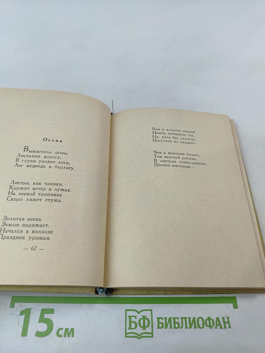 Россия - родина моя