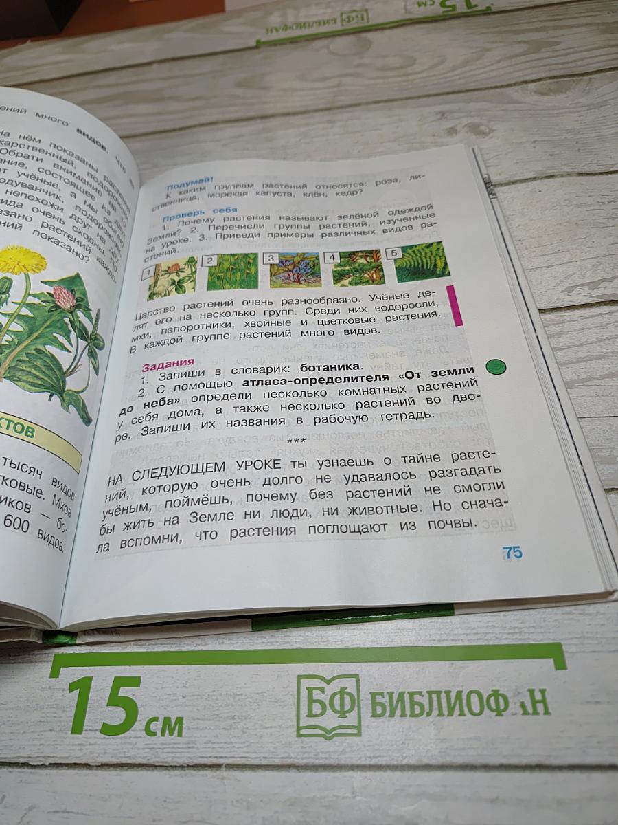 Мир вокруг нас, 3 класс, Часть 1