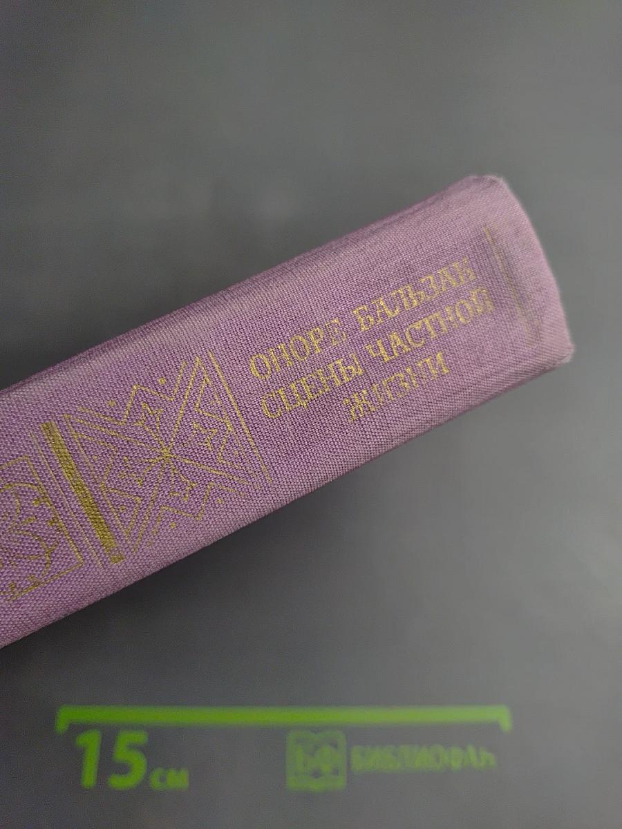 Сцены частной жизни: Отец Горио. Гобсек. Полковник Шабер. Покинутая женщина. Брачный контракт. Обедня безбожника
