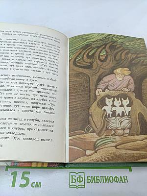 Птичка - железный нос, деревянный хвост