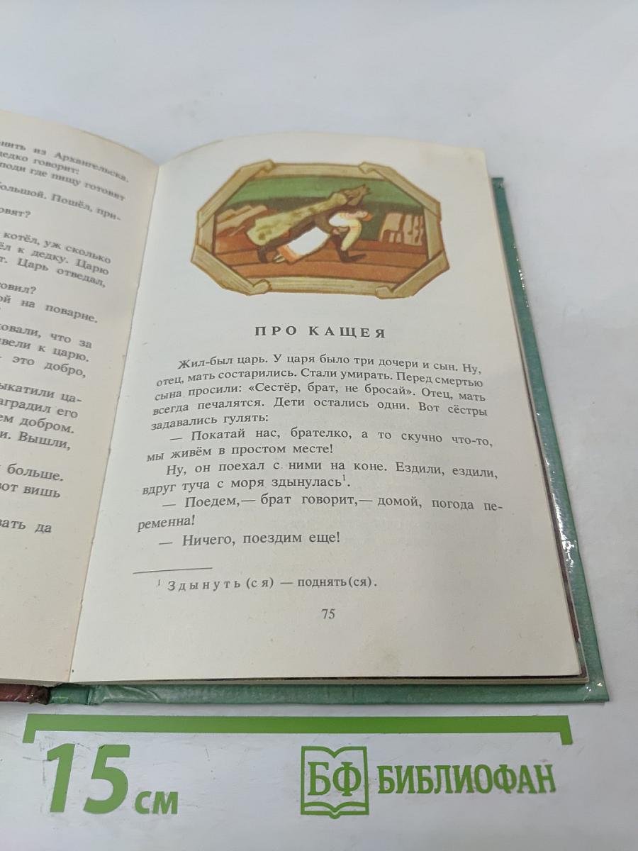 Птичка - железный нос, деревянный хвост