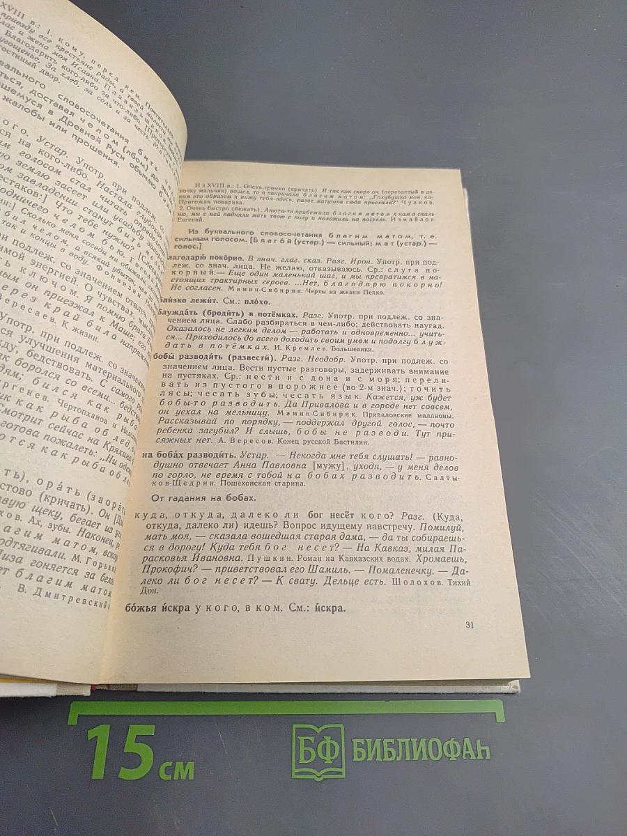 Школьный фразеологический словарь русского языка