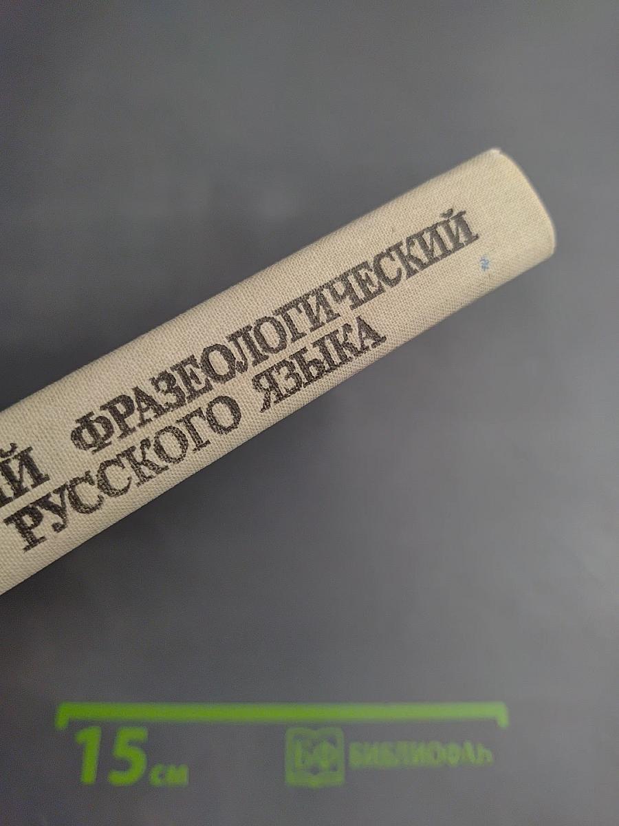 Школьный фразеологический словарь русского языка