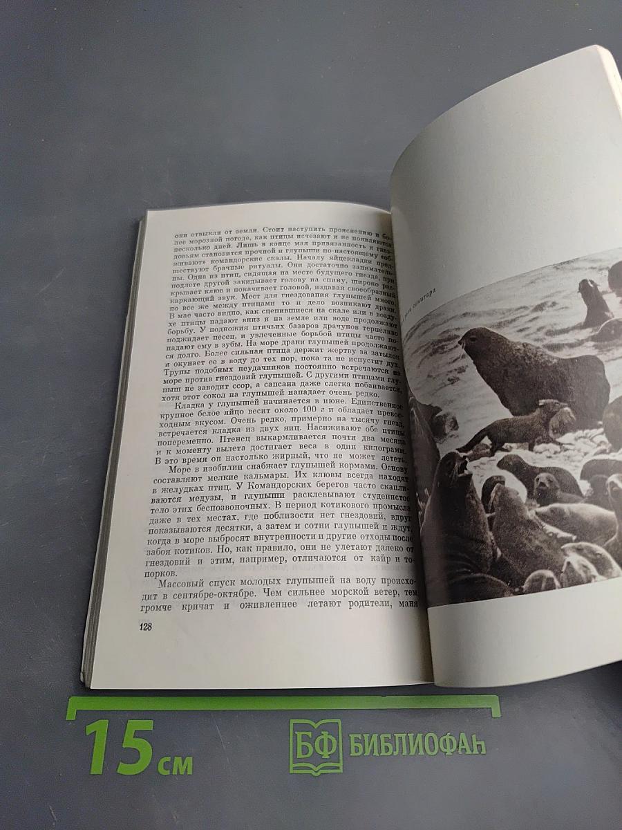 Природа и животный мир Командор