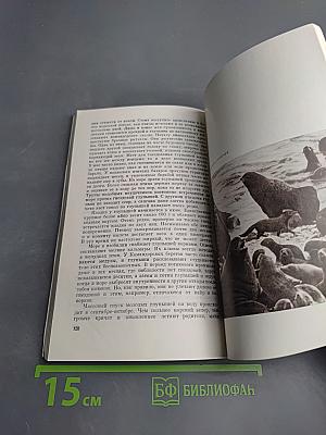 Природа и животный мир Командор