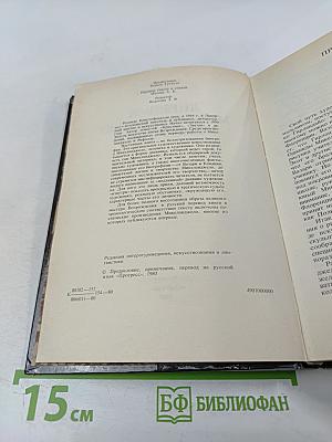 Дневник Микеланджело Неистового