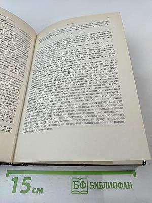 Дневник Микеланджело Неистового