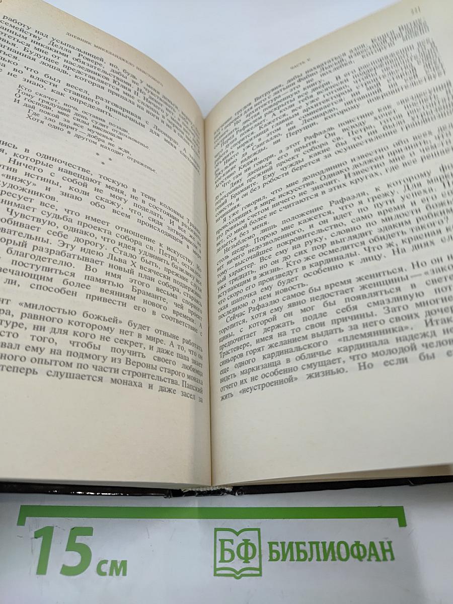 Дневник Микеланджело Неистового