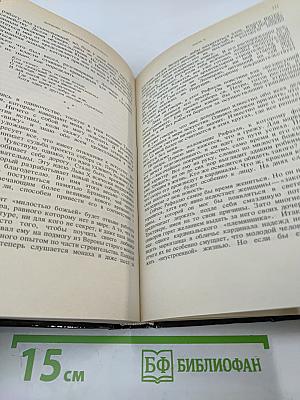 Дневник Микеланджело Неистового