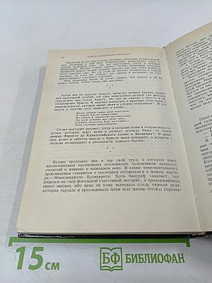 Дневник Микеланджело Неистового