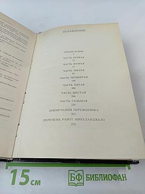 Дневник Микеланджело Неистового