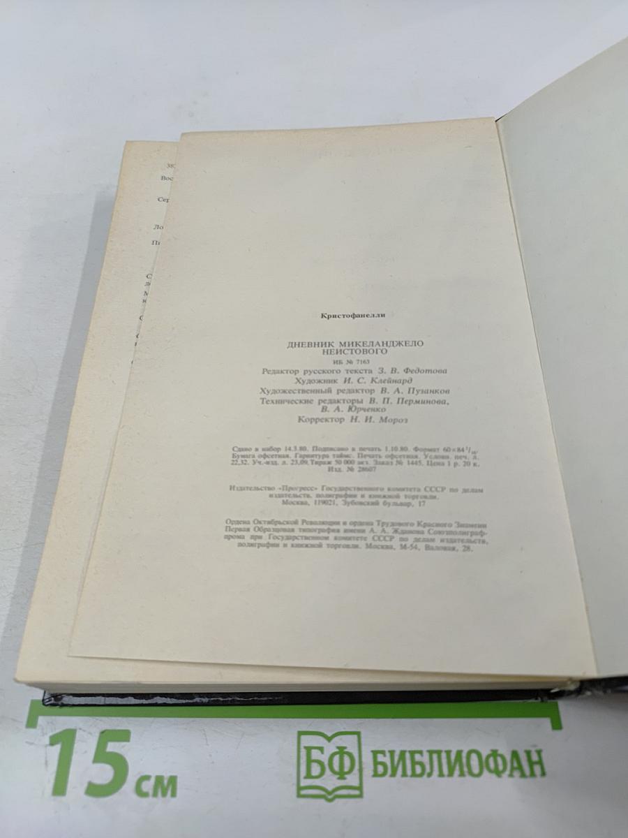 Дневник Микеланджело Неистового