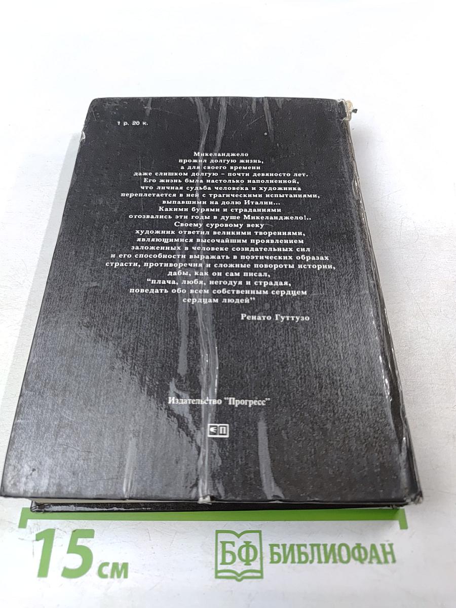 Дневник Микеланджело Неистового