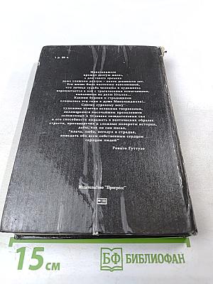 Дневник Микеланджело Неистового