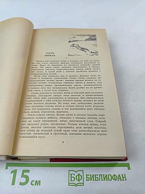 Повесть о настоящем человеке. Доктор Вера